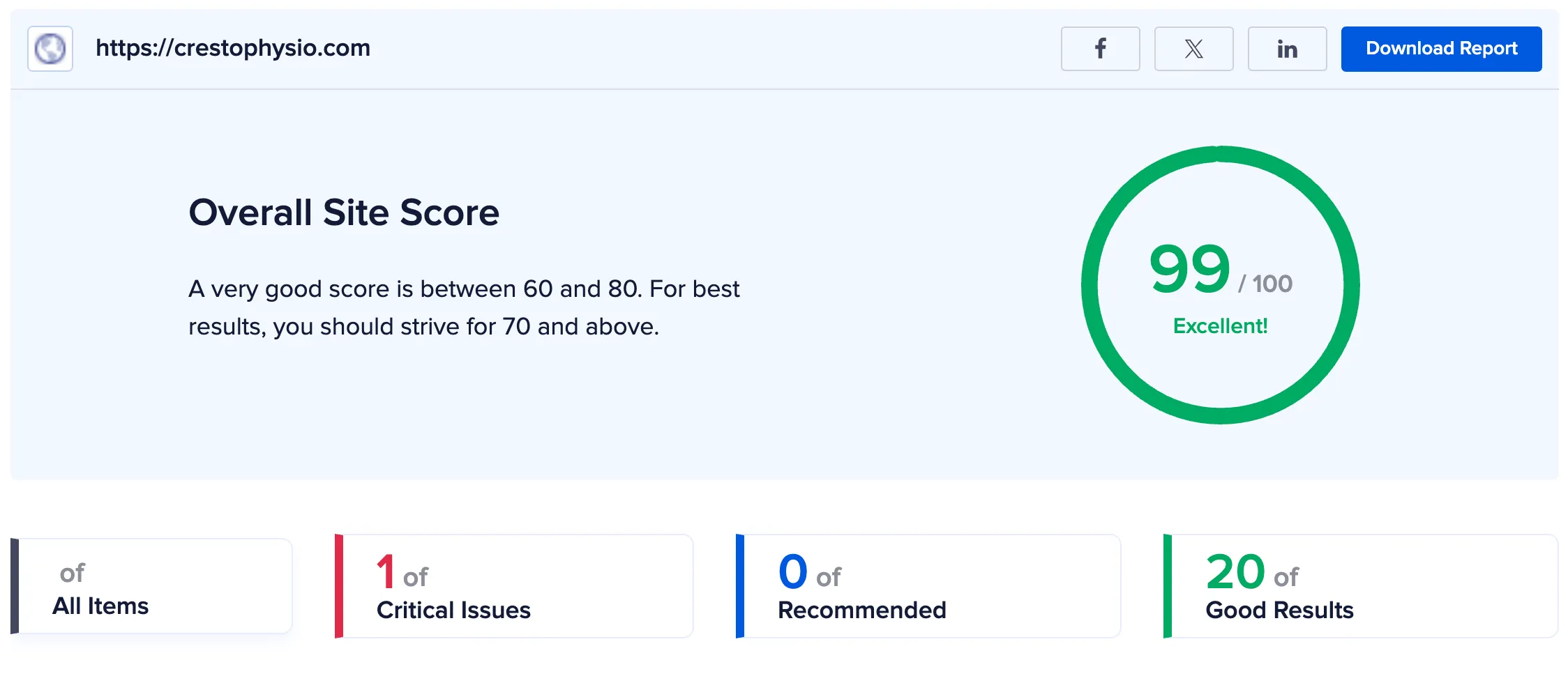 99/100 AIOSEO Performance & Schema Audit